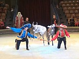 Цирковой номер - Нубийские козлики Ижевск 2017