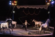 Фрагмент номера "Свобода лошадей" Цирковой конный номер