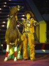 Ковбой и комическая лошадь Арамис профессиональный цирковой номер с лошадью