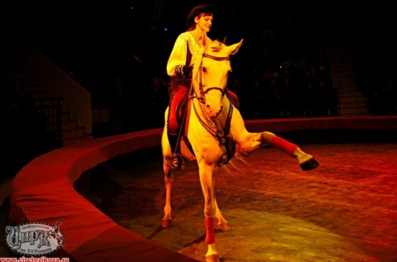 Кск арена буланова. Девушка на лошади цирк. Конный цирк. Школа конного спорта цирк. Езда на лошади в цирке.